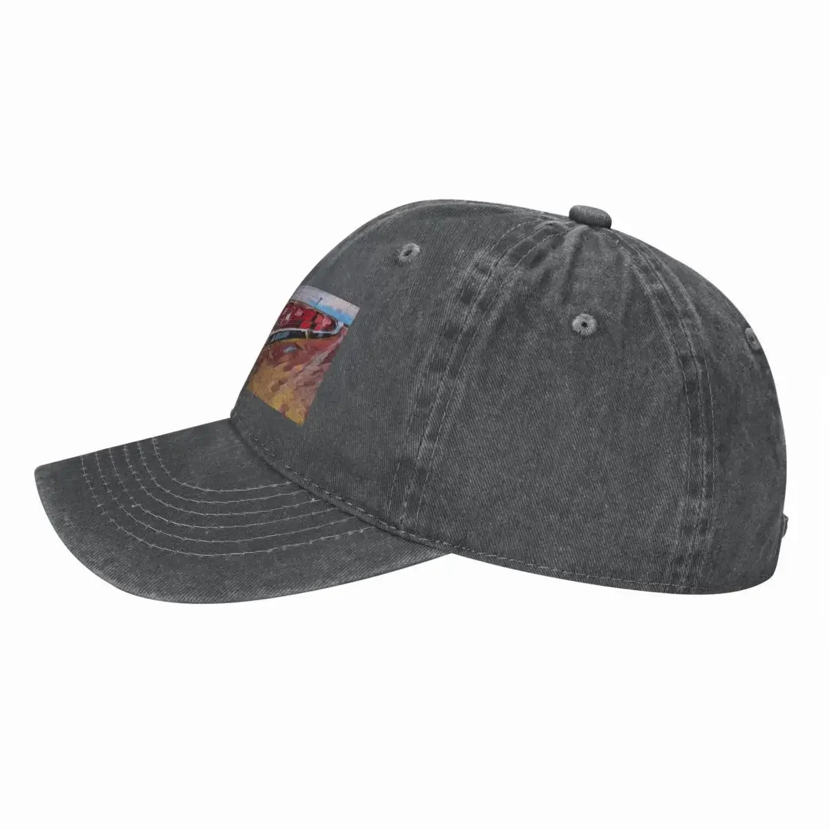 Novo Boné de Beisebol The Ghan - Streetwear Brand In Australia avaliação e preço